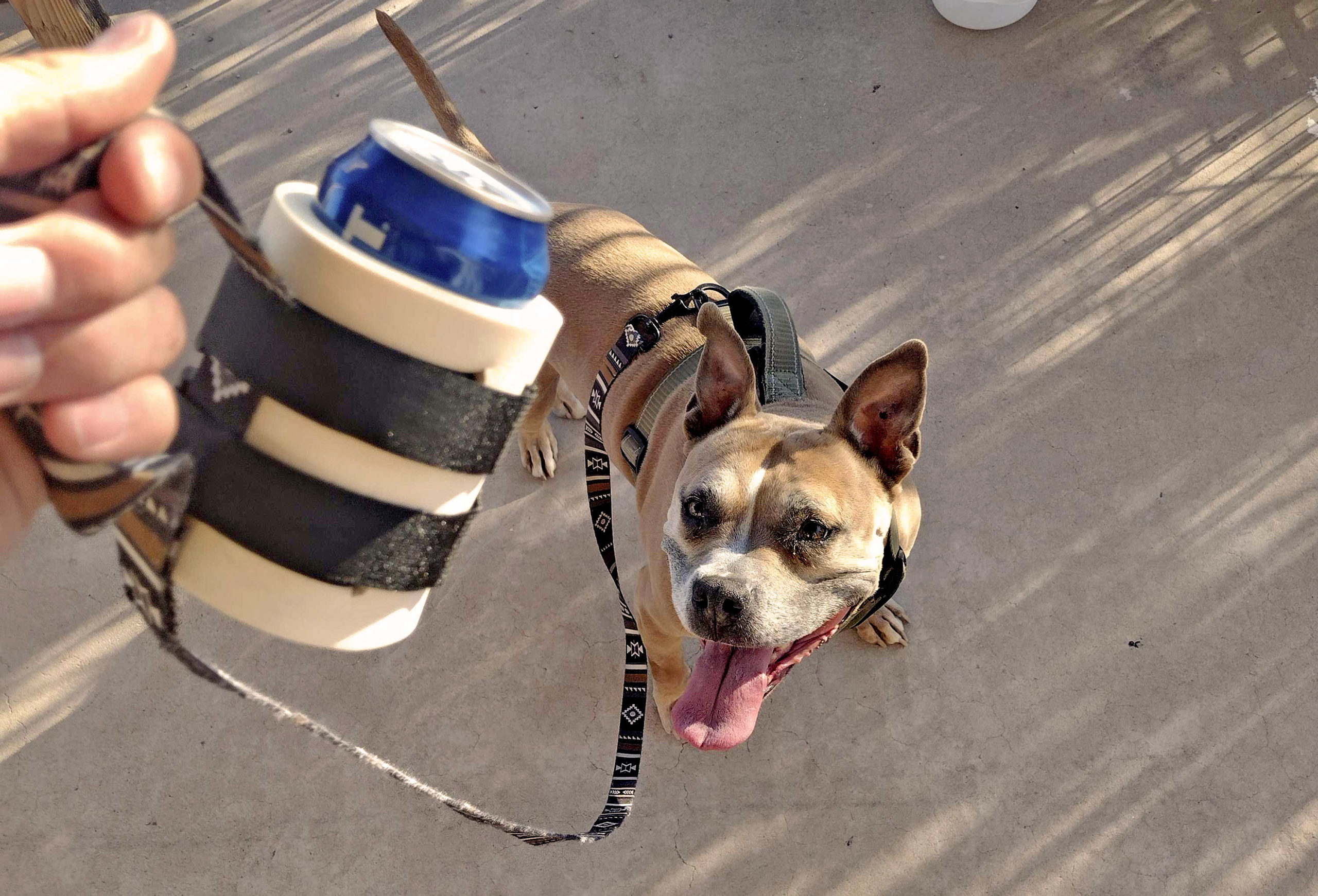 Dog leash beer holder