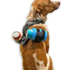 Attach Beer to dog harness