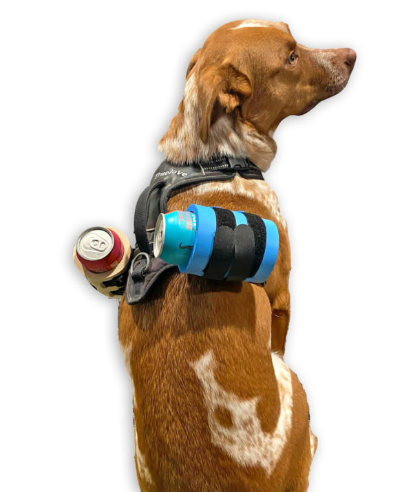 Attach Beer to dog harness