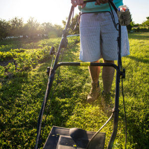 Lawn mower beverage beer mount